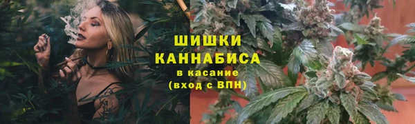 мдпв Осинники