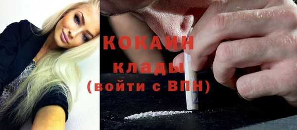 мдпв Осинники
