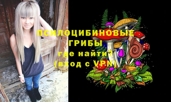 мдпв Осинники