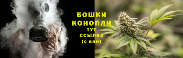 мдпв Осинники