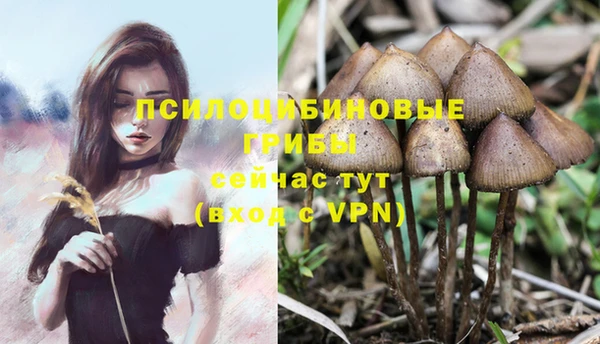 таблы Остров