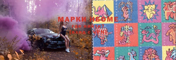 мдпв Осинники