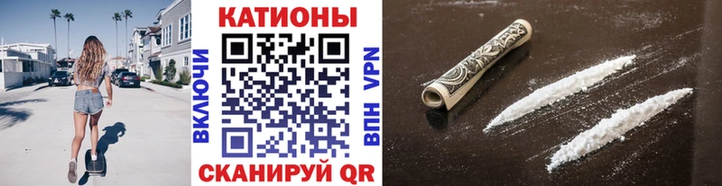 дарнет шоп  Ростов-на-Дону  МЯУ-МЯУ мяу мяу 