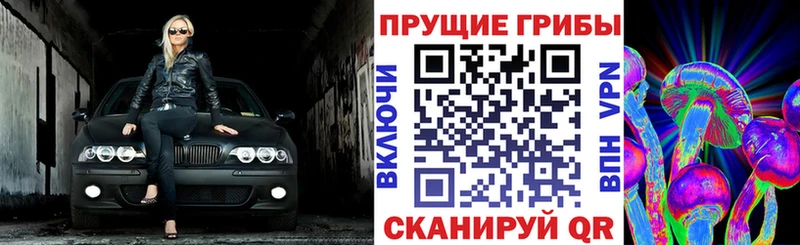 Галлюциногенные грибы прущие грибы  Ростов-на-Дону 